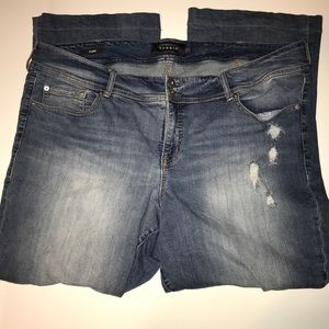 Torrid distressed flare jeans